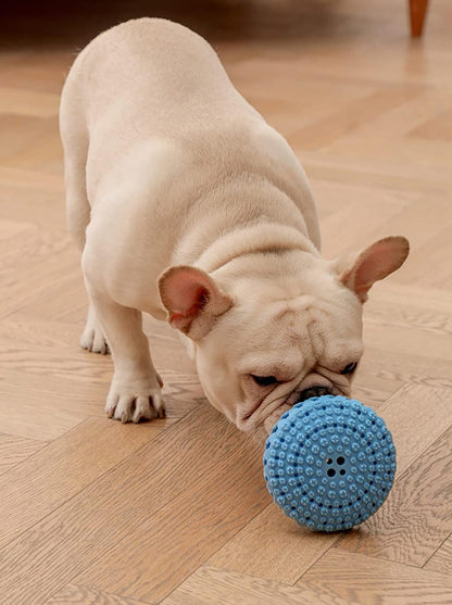 PELOTA DISPENSADORA SNACKS