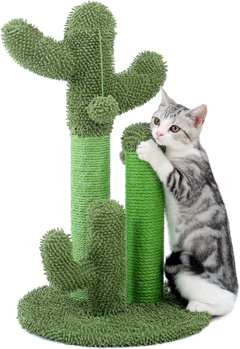 RASCADOR CACTUS