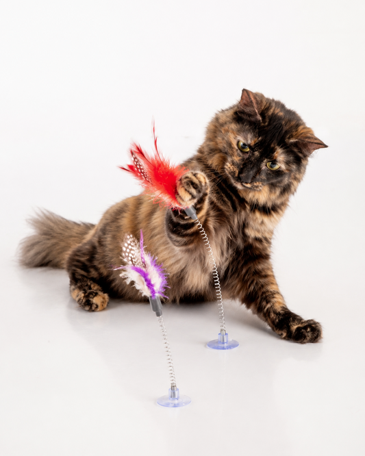 JUGUETE PARA GATOS PLUMA