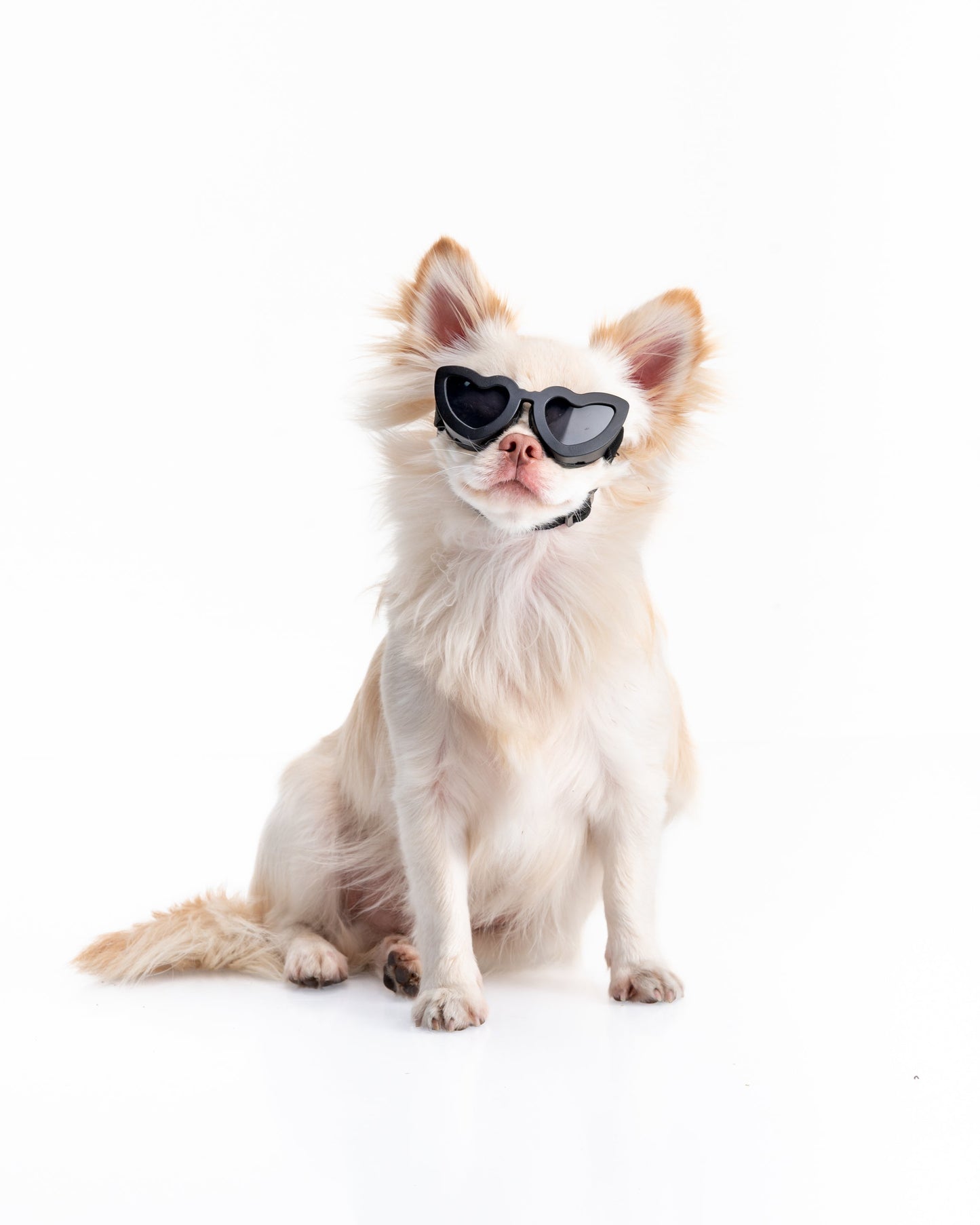 GAFAS MASCOTA CORAZON