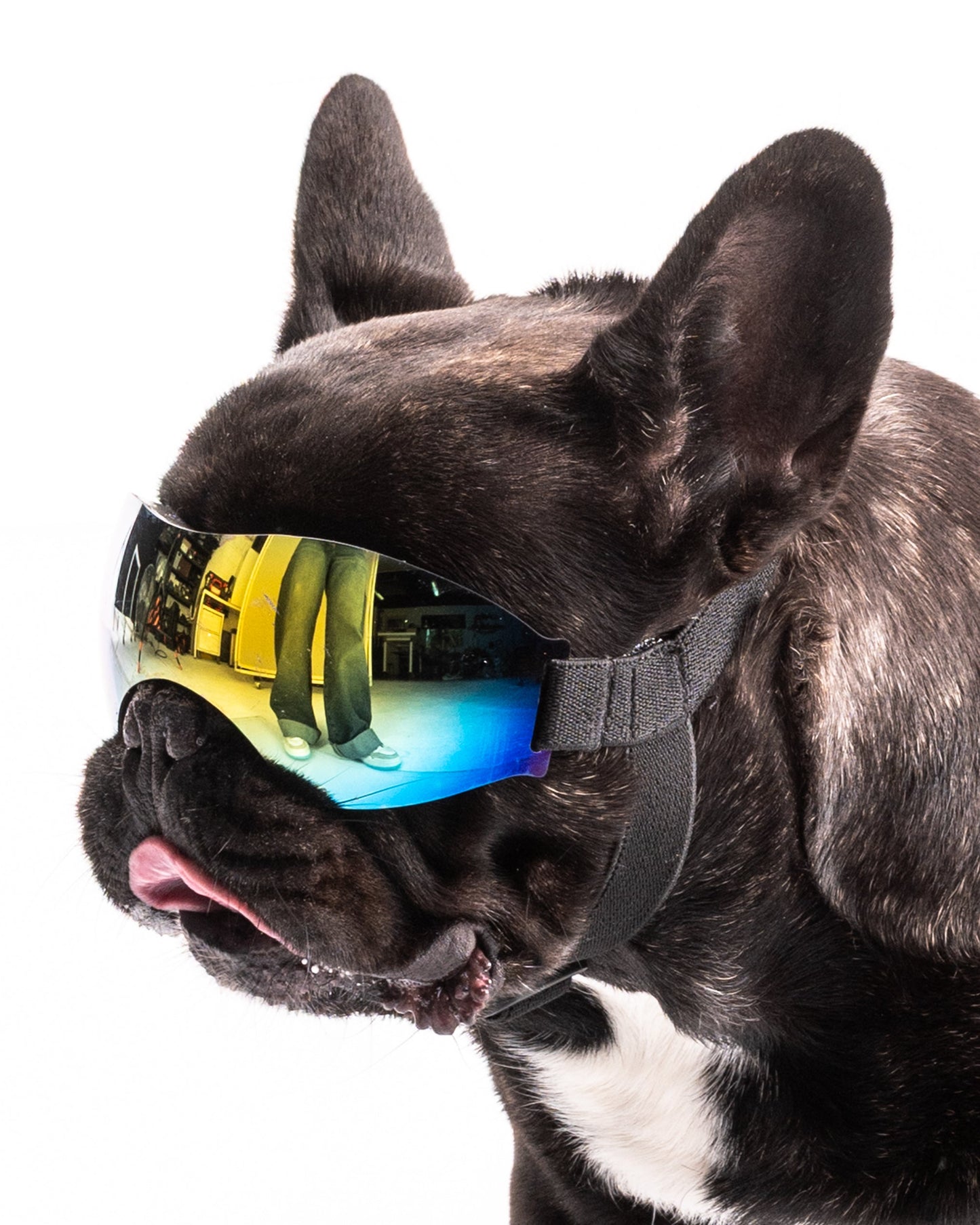 GAFAS COMPLETAS TORNASOL