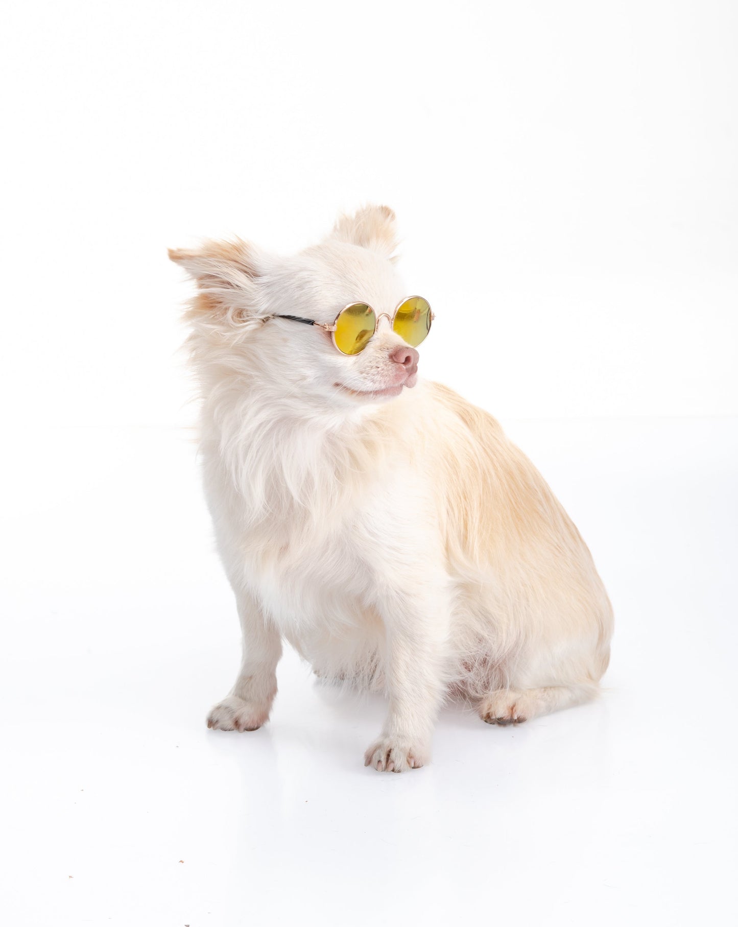GAFAS PARA MASCOTAS MINI