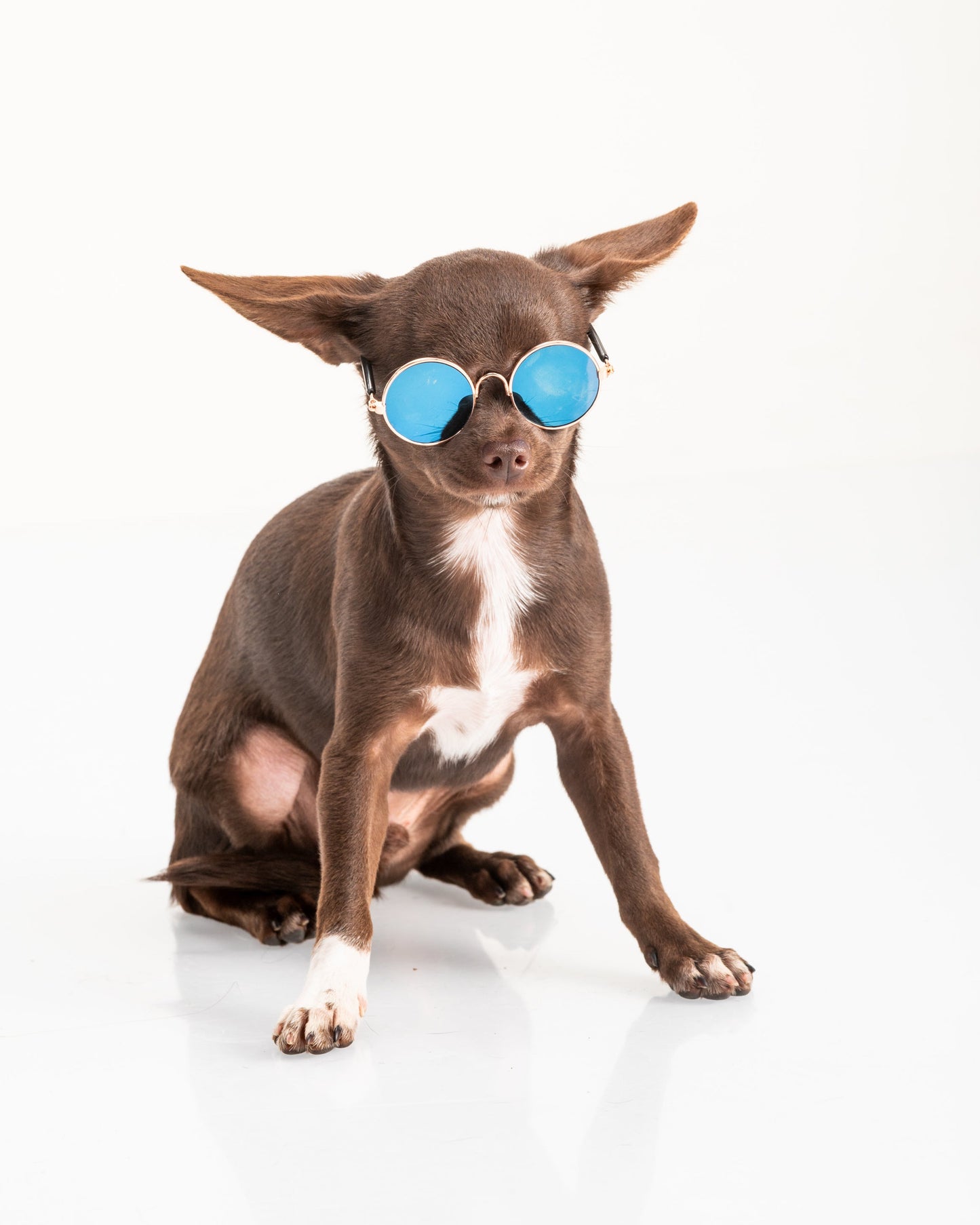 GAFAS PARA MASCOTAS MINI