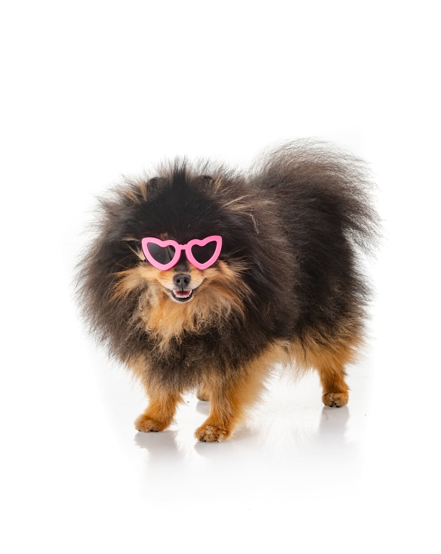 GAFAS MASCOTA CORAZON