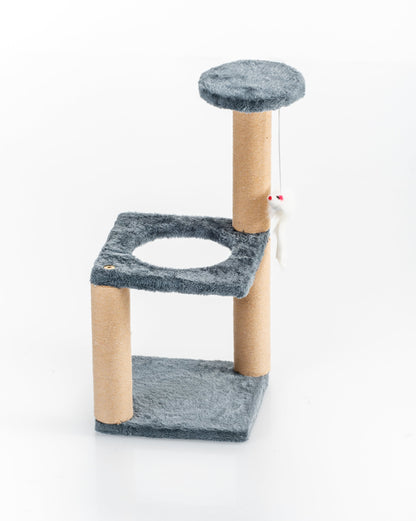 GIMNASIO PARA GATOS