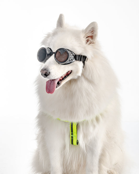 GAFAS REDONDAS