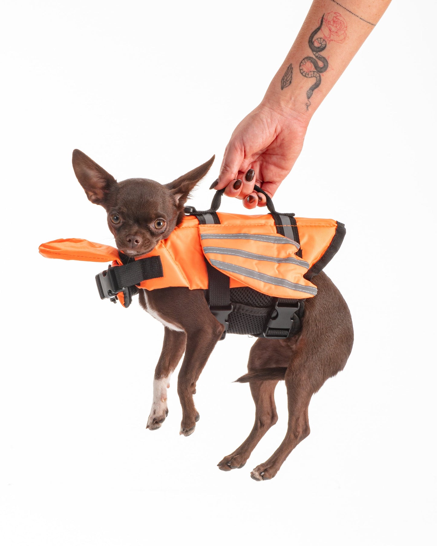 FLOTADOR PARA MASCOTAS COLORES