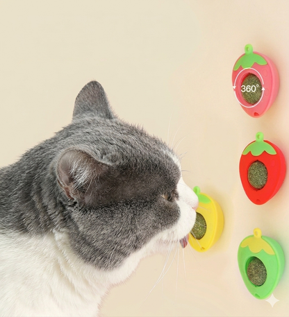 CATNIP