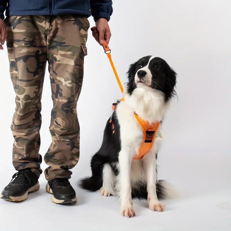 Arnés de Libertad para Mascotas